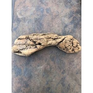 Natural Driftwood for Plants Terrarium Taxidermy Art Projects